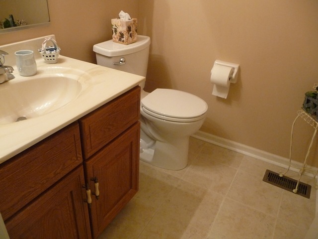 784 Red Oak Dr, Bartlett, IL 60103 photo 7