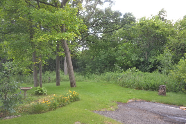 37 W239 Olwin Dr, Elgin, IL 60124 photo 22