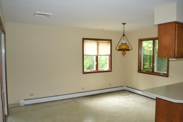 37 W239 Olwin Dr, Elgin, IL 60124 photo 8