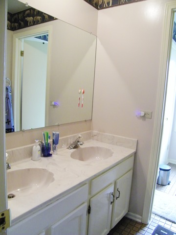 1098 Captains Ln, Wheeling, IL 60090 photo 17