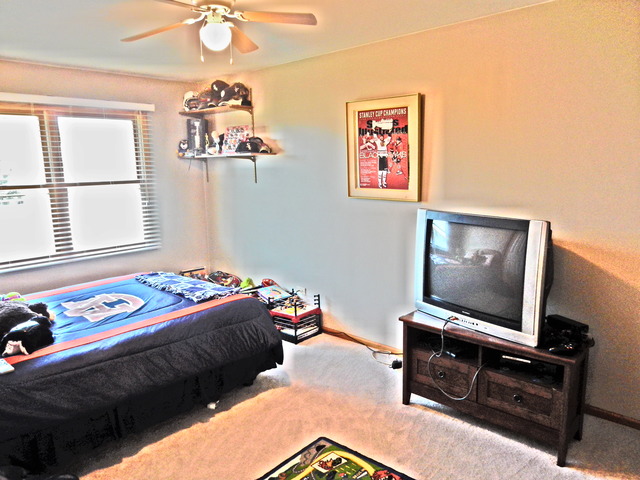 1811 Great Falls Dr, Plainfield, IL 60586 photo 14