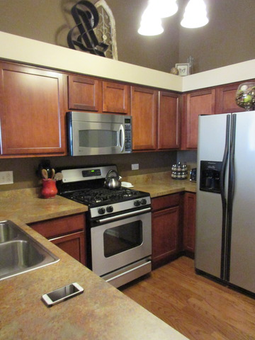 3003 Veronica St, Plano, IL 60545 photo 5