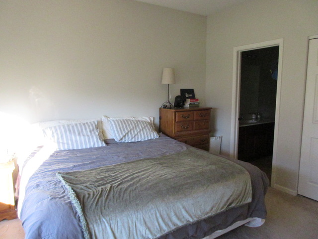 3003 Veronica St, Plano, IL 60545 photo 9