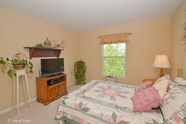 7 Steiner Ct, Algonquin, IL 60102 photo 16