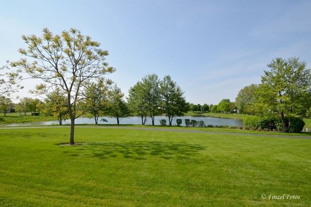 7 Steiner Ct, Algonquin, IL 60102 photo 25