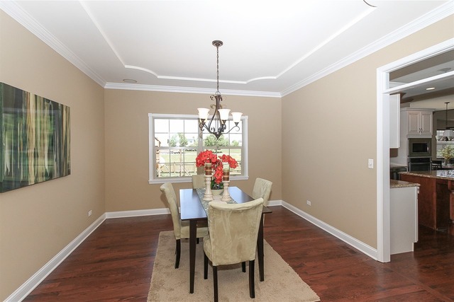 16532 Hidden River Cir, Plainfield, IL 60586 photo 9
