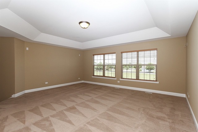 16532 Hidden River Cir, Plainfield, IL 60586 photo 19