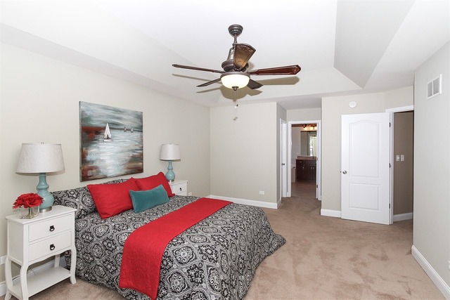 16532 Hidden River Cir, Plainfield, IL 60586 photo 17