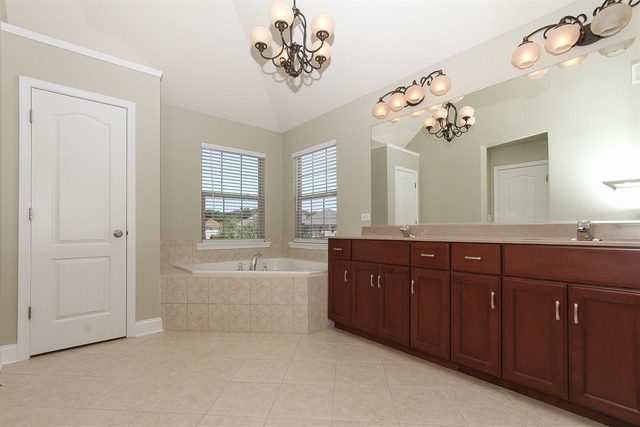 16532 Hidden River Cir, Plainfield, IL 60586 photo 16
