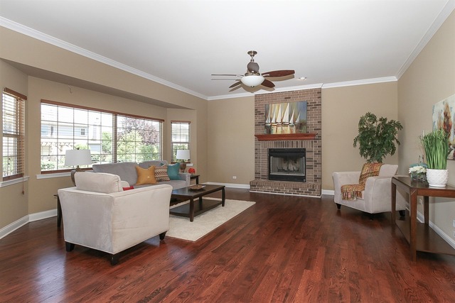 16532 Hidden River Cir, Plainfield, IL 60586 photo 15