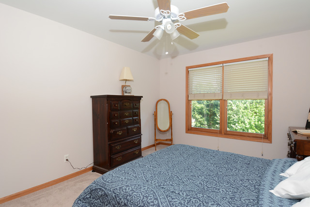 39 W259 Bartelt Pl, Geneva, IL 60134 photo 14