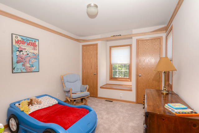 39 W259 Bartelt Pl, Geneva, IL 60134 photo 19