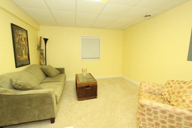464 Snow Drift Cir, Bartlett, IL 60103 photo 15