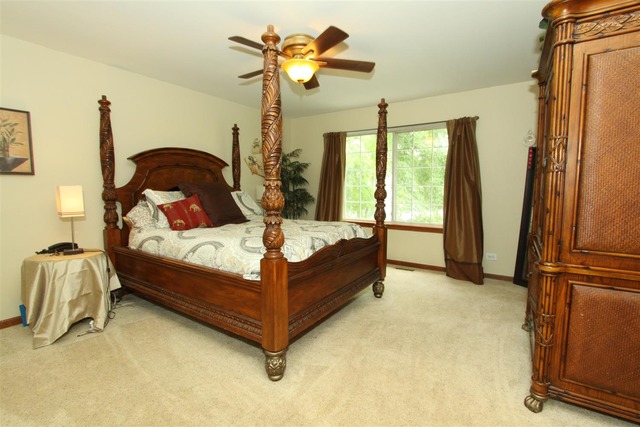 464 Snow Drift Cir, Bartlett, IL 60103 photo 10