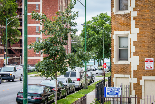 2819 E 76th St, Chicago, IL 60649 photo 3