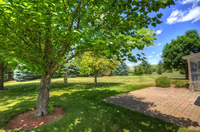 1003 Eagle, Mchenry, IL 60050 photo 25