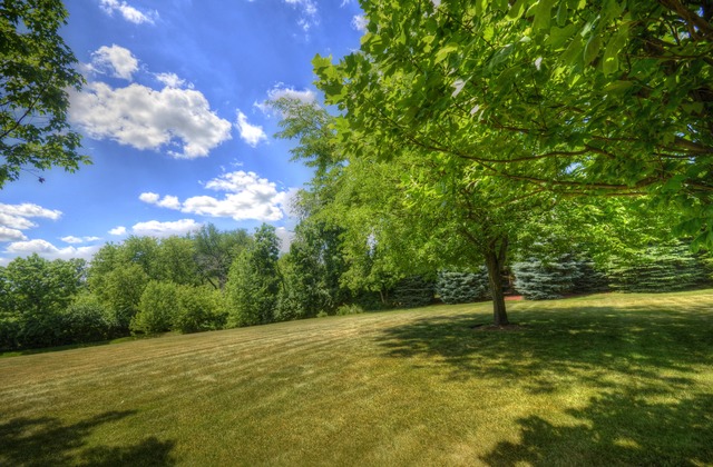 1003 Eagle, Mchenry, IL 60050 photo 24