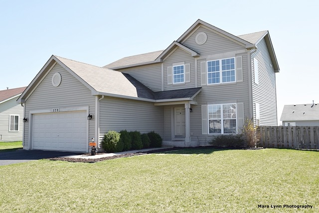 539 Ramsden Rd, Plano, IL 60545 photo 1