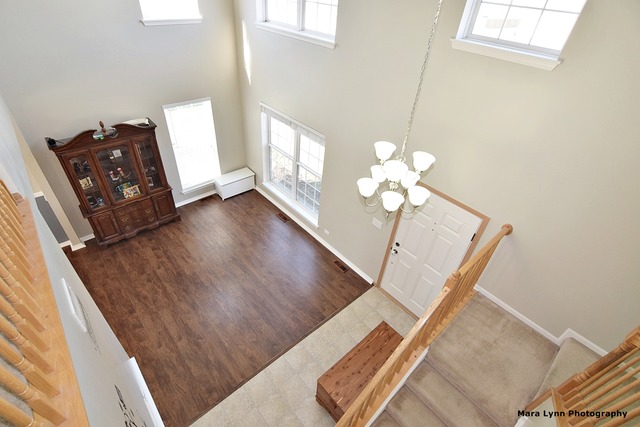 539 Ramsden Rd, Plano, IL 60545 photo 5