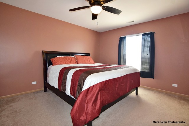 539 Ramsden Rd, Plano, IL 60545 photo 18