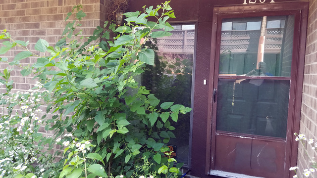 1204 Kenneth Cir, Elgin, IL 60120 photo 1