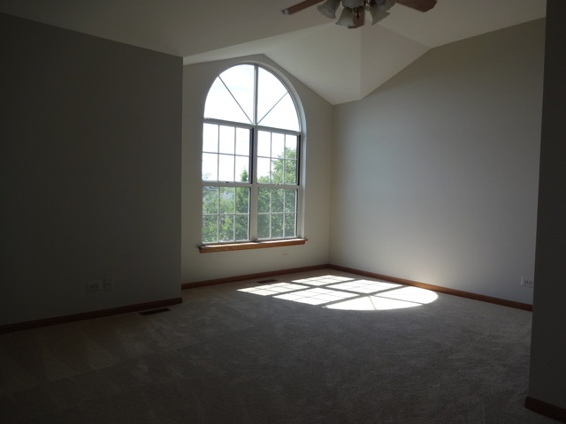 249 Superior Cir, Bartlett, IL 60103 photo 18