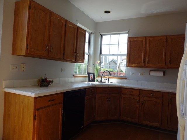 249 Superior Cir, Bartlett, IL 60103 photo 7