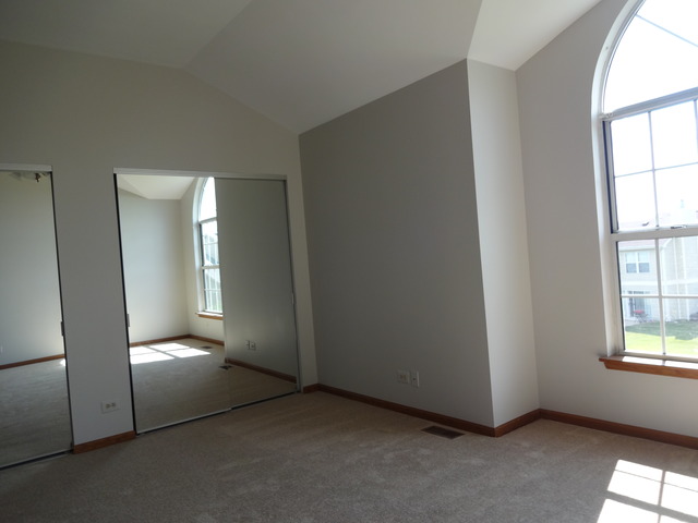 249 Superior Cir, Bartlett, IL 60103 photo 19