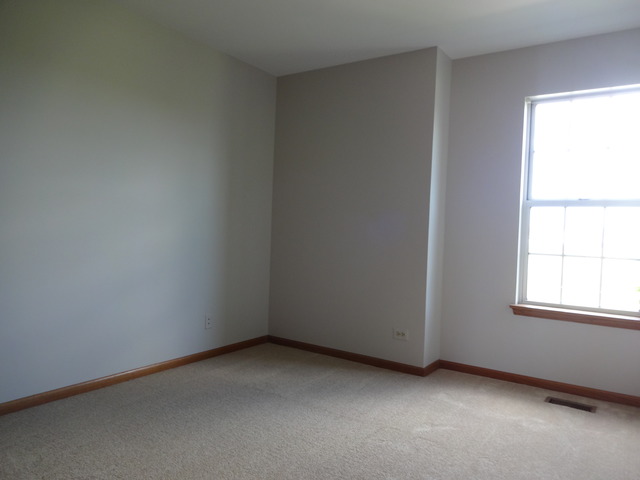 249 Superior Cir, Bartlett, IL 60103 photo 15