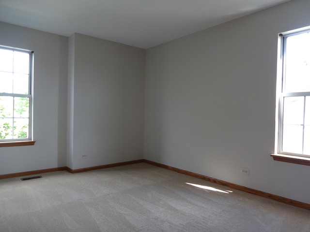 249 Superior Cir, Bartlett, IL 60103 photo 14