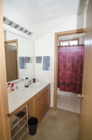 3011 Reflection Ct, Plainfield, IL 60586 photo 17