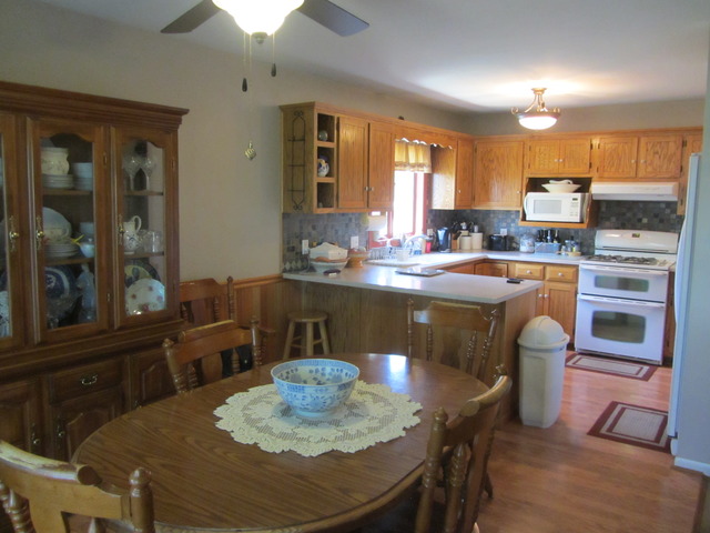 1104 Bittersweet Dr, Plano, IL 60545 photo 8