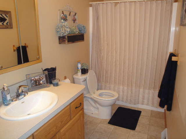 2640 E Girot Ln, Diamond, IL 60416 photo 21