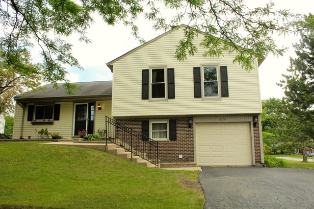 300 E Sheridan Dr, Bartlett, IL 60103 photo 1