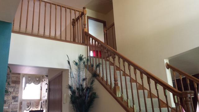 833 Brompton Cir, Bolingbrook, IL 60440 photo 7