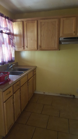 2536 E 97th Pl, Chicago, IL 60617 photo 3
