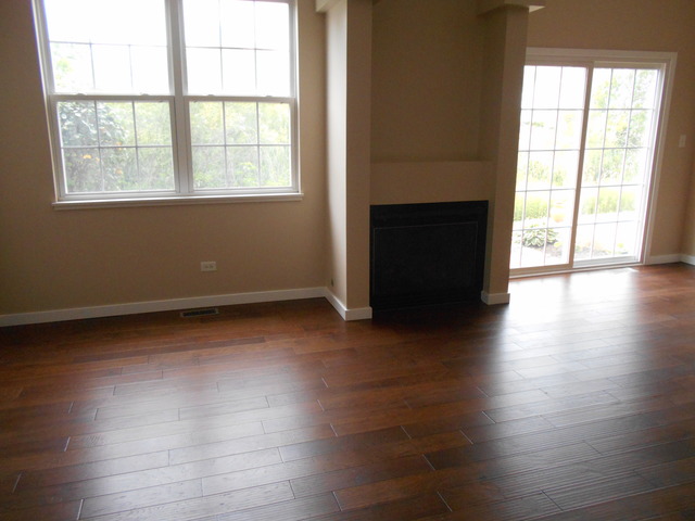 25906 Derby Dr, Monee, IL 60449 photo 9