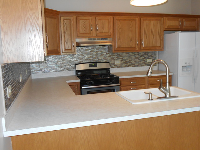 25906 Derby Dr, Monee, IL 60449 photo 5