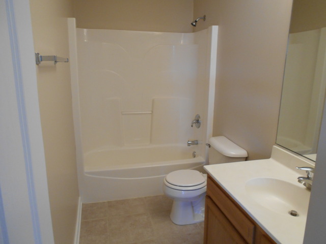 25906 Derby Dr, Monee, IL 60449 photo 13