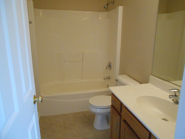 25906 Derby Dr, Monee, IL 60449 photo 17