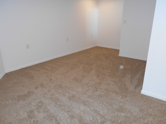 25906 Derby Dr, Monee, IL 60449 photo 20