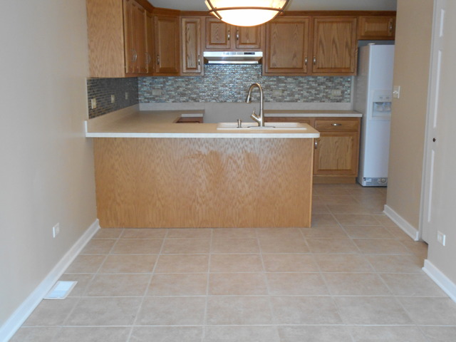 25906 Derby Dr, Monee, IL 60449 photo 6