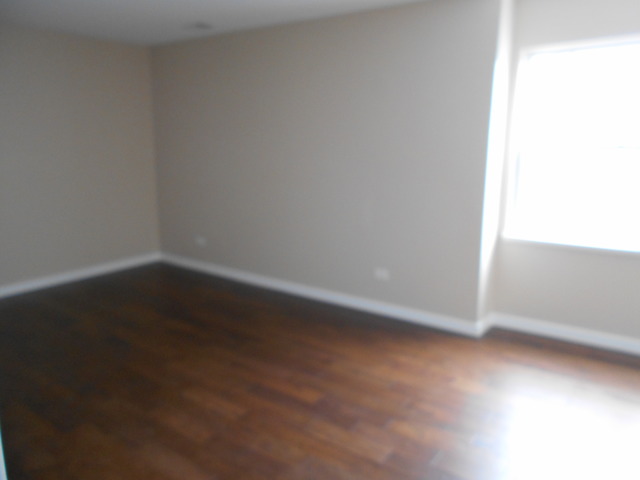 25906 Derby Dr, Monee, IL 60449 photo 11