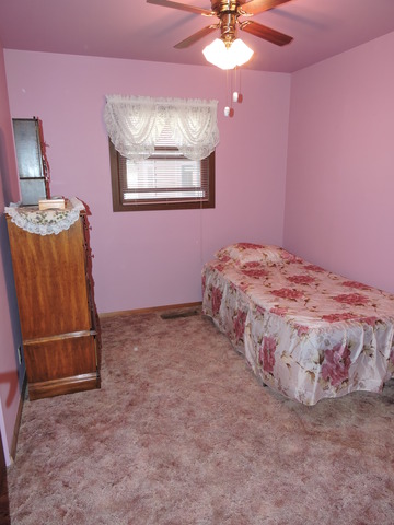 15625 S Benson Ave, Plainfield, IL 60544 photo 16
