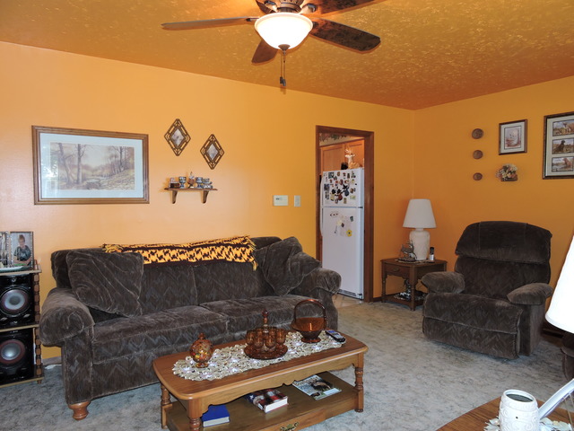 15625 S Benson Ave, Plainfield, IL 60544 photo 9