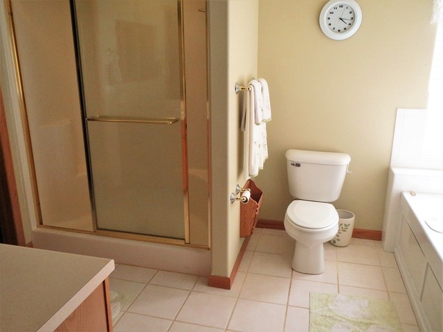 1256 Trail Dr, Dixon, IL 61021 photo 8