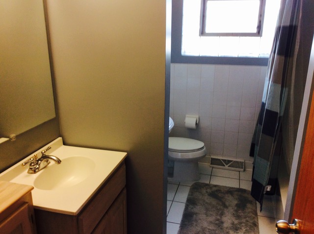 11725 S Rosemary Ln, Alsip, IL 60803 photo 11