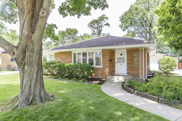 334 S Princeton Ave, Itasca, IL 60143 photo 20