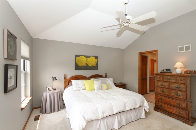 263 Shawnee Cir, Bartlett, IL 60103 photo 9