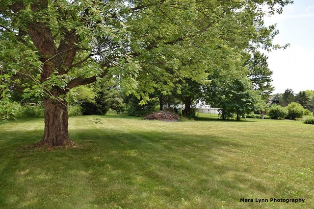 41 W039 Bowes Bend Dr, Elgin, IL 60124 photo 24